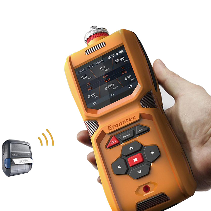 MS600-CH4S portable methyl mercaptan gas detector